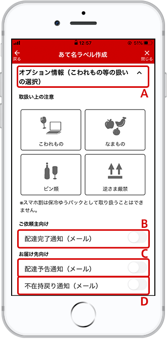 オプション情報を入力します。